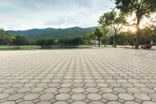 Commercial Driveway Pavers in Greensboro, MD