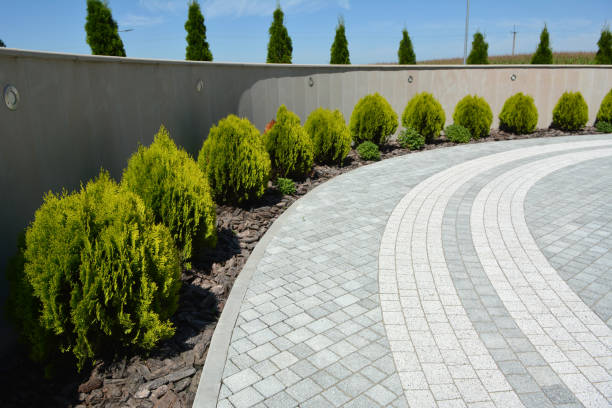 Reasons to Select Us for Your Driveway Paving Requirements in Greensboro, MD
